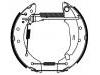 Brake Shoe Set:4241.9F