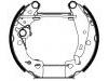 Brake Shoe Set:4241.6A